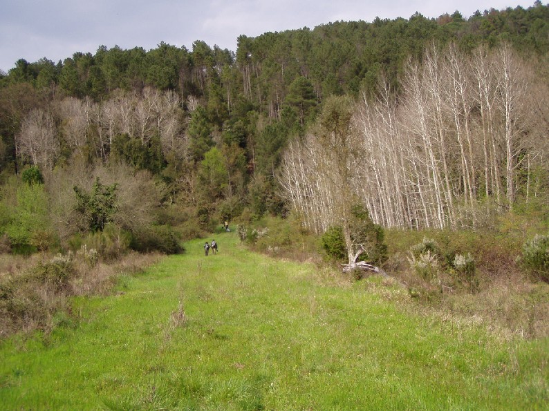 Valle del Farma e Stagno della Troscia: luoghi meravigliosi!